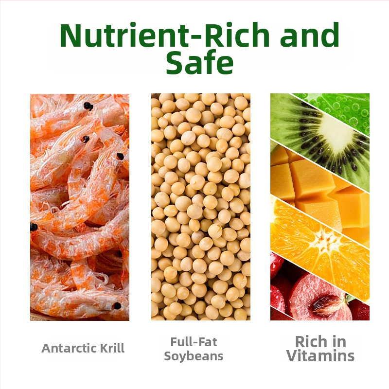 Kilpkonnade teravilja toit – akvaariumi lemmikloomade toit, 800 g, pakk 10, kaubamärk BESSN