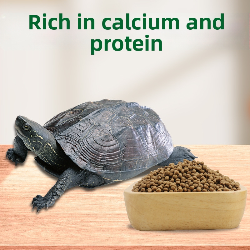 Kilpkonnade teravilja toit – akvaariumi lemmikloomade toit, 800 g, pakk 10, kaubamärk BESSN