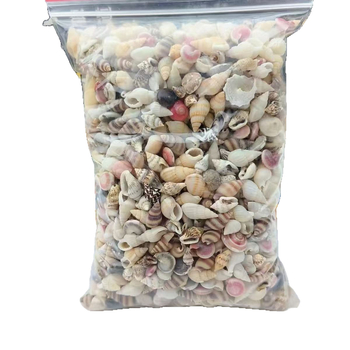 Little dream Akvariumo kriauklių rinkinys – natūralios kriauklės ir konchų mikropeizažui, pritaikomi materialai