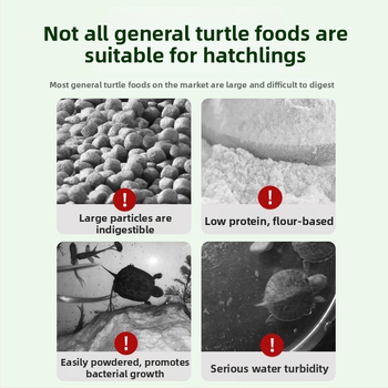 Noore kilpkonna toit – kõrge kaltsiumi ja valgu sisaldus, graanulid, kaitseb pehme kilp