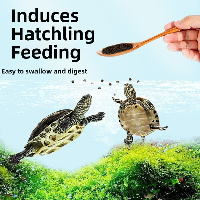 Barība mazām bruņurupēm – augsts kalcija saturs, augsts olbaltumvielu saturs, granulas, aizsargā pret mīksto bruņu