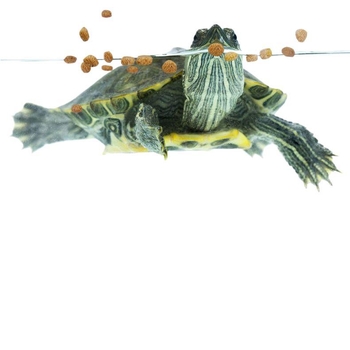 Granuleeritud veekilpkonna toit lemmikloomadele