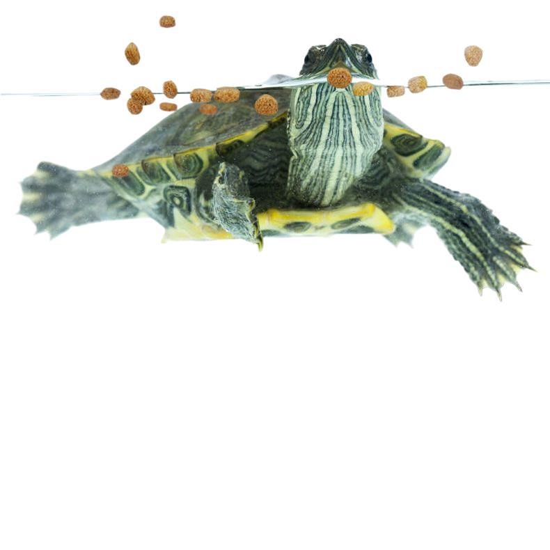 Granuleeritud veekilpkonna toit lemmikloomadele