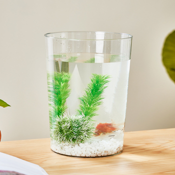 Beduo Yang Mājas Akvārijs - PET materiāls, augstas klases DIY, dzīvojamās istabas ainavu dekors, dekoratīvs pamatskaps, mākslīgais ekoloģiskais dīķis