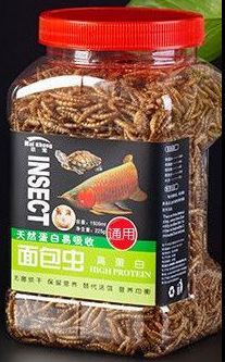 Nai chong kuivatatud putukad – akvaariumi lemmikloomade toit