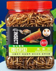 Nai chong kuivatatud putukad – akvaariumi lemmikloomade toit