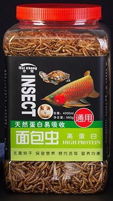 Nai chong kuivatatud putukad – akvaariumi lemmikloomade toit