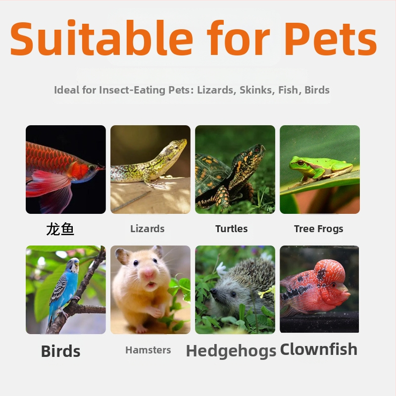 Nai chong kuivatatud putukad – akvaariumi lemmikloomade toit