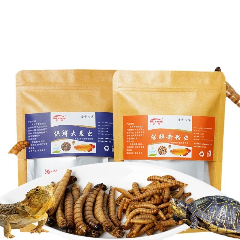 Nai chong kuivatatud putukad – akvaariumi lemmikloomade toit