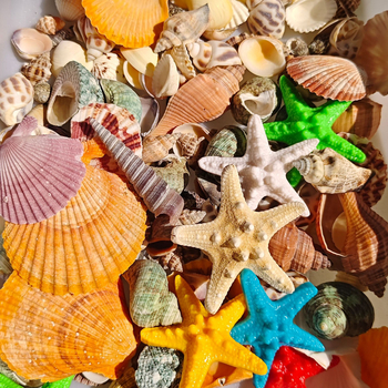 Akvārija dekoru komplekts: dabiskas čaulas, jūras zvaigznes, korāli; Vidusjūras stils; dabīgs dizains; dāvana dzimšanas dienā, izlaidumā, ceļojumā.