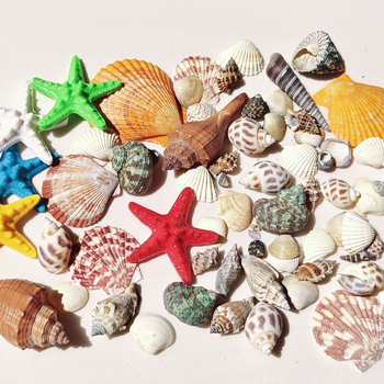 Akvārija dekoru komplekts: dabiskas čaulas, jūras zvaigznes, korāli; Vidusjūras stils; dabīgs dizains; dāvana dzimšanas dienā, izlaidumā, ceļojumā.