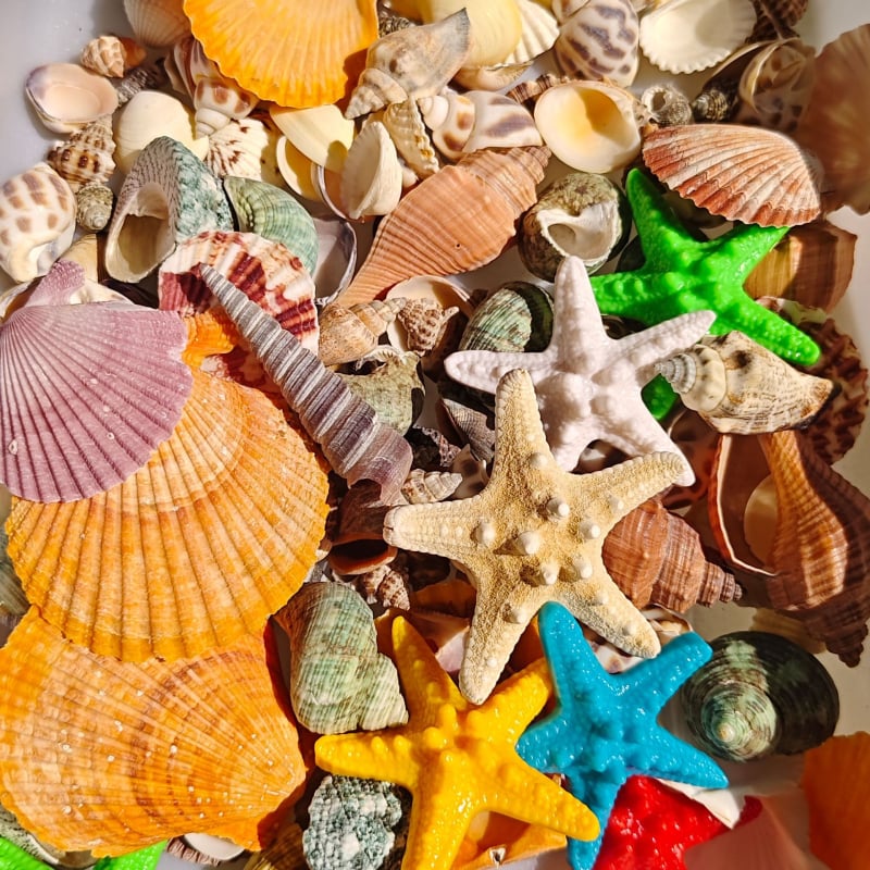 Akvārija dekoru komplekts: dabiskas čaulas, jūras zvaigznes, korāli; Vidusjūras stils; dabīgs dizains; dāvana dzimšanas dienā, izlaidumā, ceļojumā.