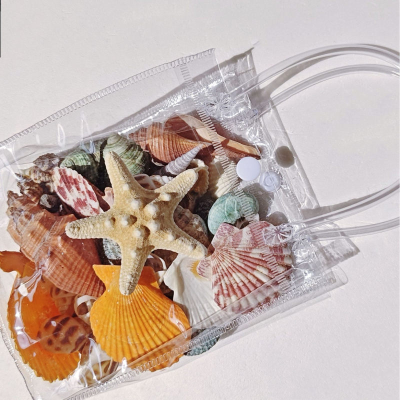 Akvārija dekoru komplekts: dabiskas čaulas, jūras zvaigznes, korāli; Vidusjūras stils; dabīgs dizains; dāvana dzimšanas dienā, izlaidumā, ceļojumā.