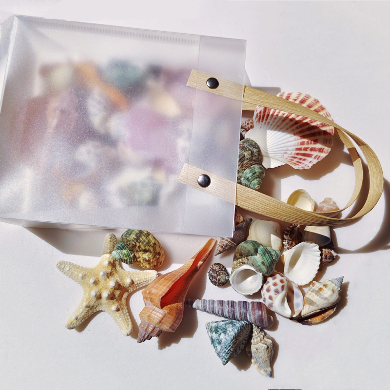 Akvārija dekoru komplekts: dabiskas čaulas, jūras zvaigznes, korāli; Vidusjūras stils; dabīgs dizains; dāvana dzimšanas dienā, izlaidumā, ceļojumā.