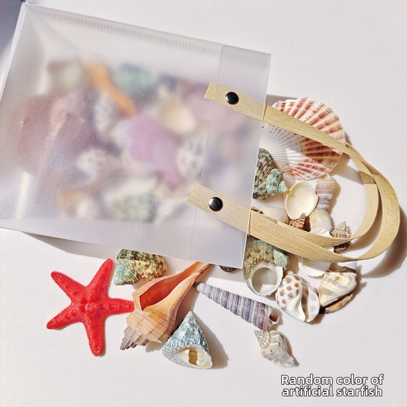 Akvārija dekoru komplekts: dabiskas čaulas, jūras zvaigznes, korāli; Vidusjūras stils; dabīgs dizains; dāvana dzimšanas dienā, izlaidumā, ceļojumā.