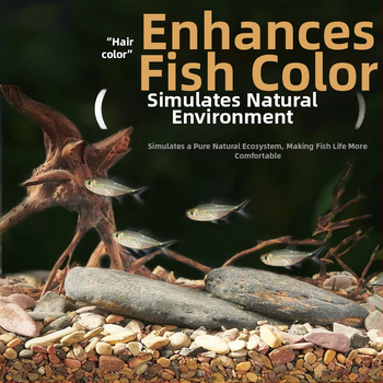 Smiltakmetis upės smėlio akvariumui, natūralus apačioje substratas, kraštovaizdžio dekoras, 1,5 kg, kilmė Shandong