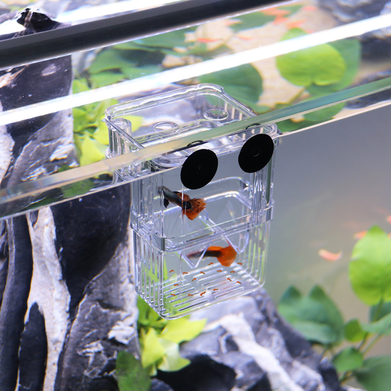 Кутия за развъждане за изолирането на малки риби, с изолационна мрежова система, прозрачен пластмасов корпус, марка Chi Yiheng