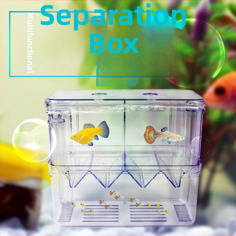Кутия за развъждане за изолирането на малки риби, с изолационна мрежова система, прозрачен пластмасов корпус, марка Chi Yiheng