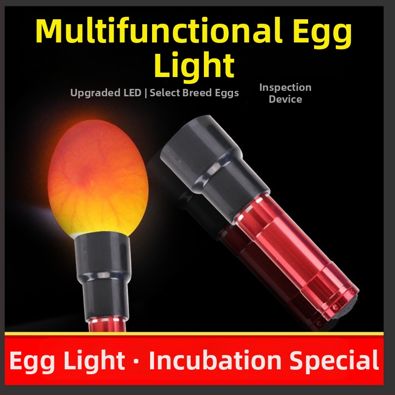 Inkubačný inkubátor a lampa na presvetľovanie vajec pre kuracie vajcia, Tongda, zariadenie pre chov zvierat