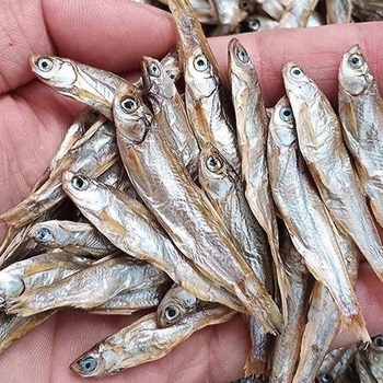 Kilpkonna toit - soolamata, kuivatatud ussid ja krevettid, akvaariumikilpkonnadele