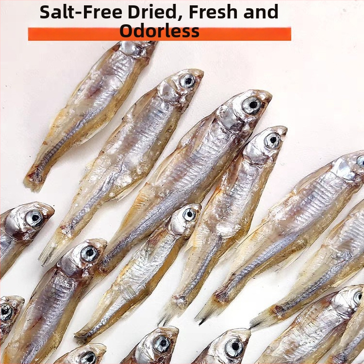 Bruņurupucu barība - bez sāls, sausi tārpi un garneles, akvārija bruņurupučiem