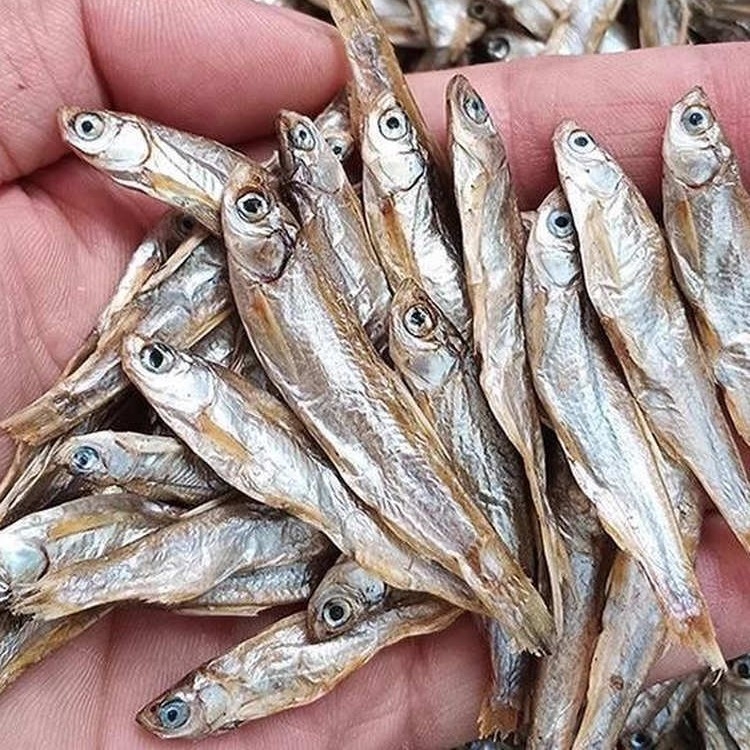 Kilpkonna toit - soolamata, kuivatatud ussid ja krevettid, akvaariumikilpkonnadele