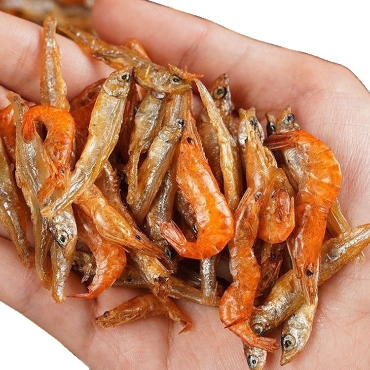 Kilpkonna toit - soolamata, kuivatatud ussid ja krevettid, akvaariumikilpkonnadele