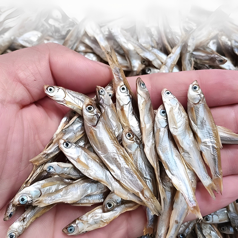 Kilpkonna toit - soolamata, kuivatatud ussid ja krevettid, akvaariumikilpkonnadele