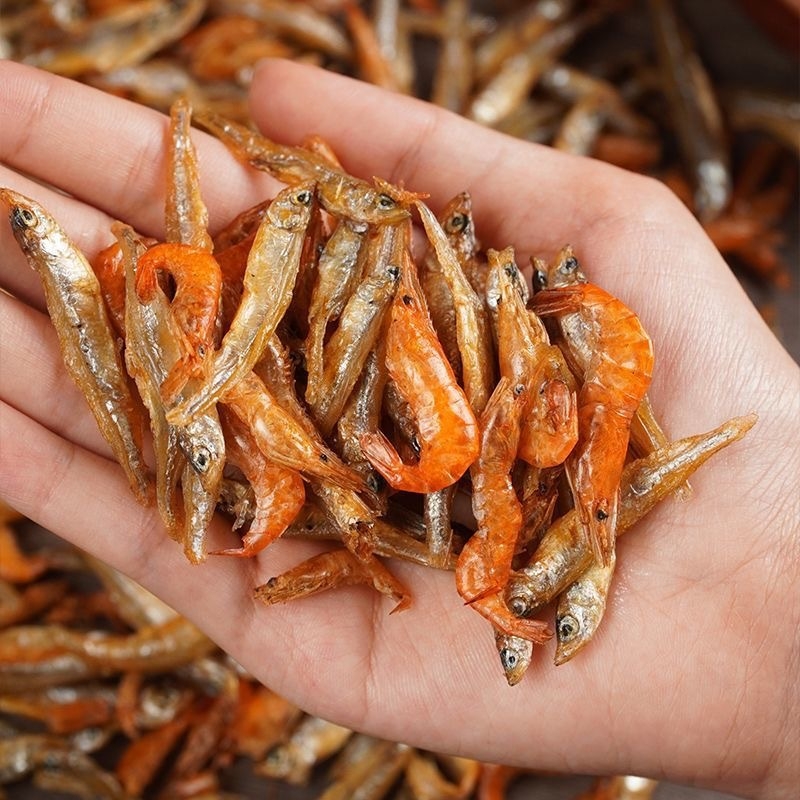 Kilpkonna toit - soolamata, kuivatatud ussid ja krevettid, akvaariumikilpkonnadele