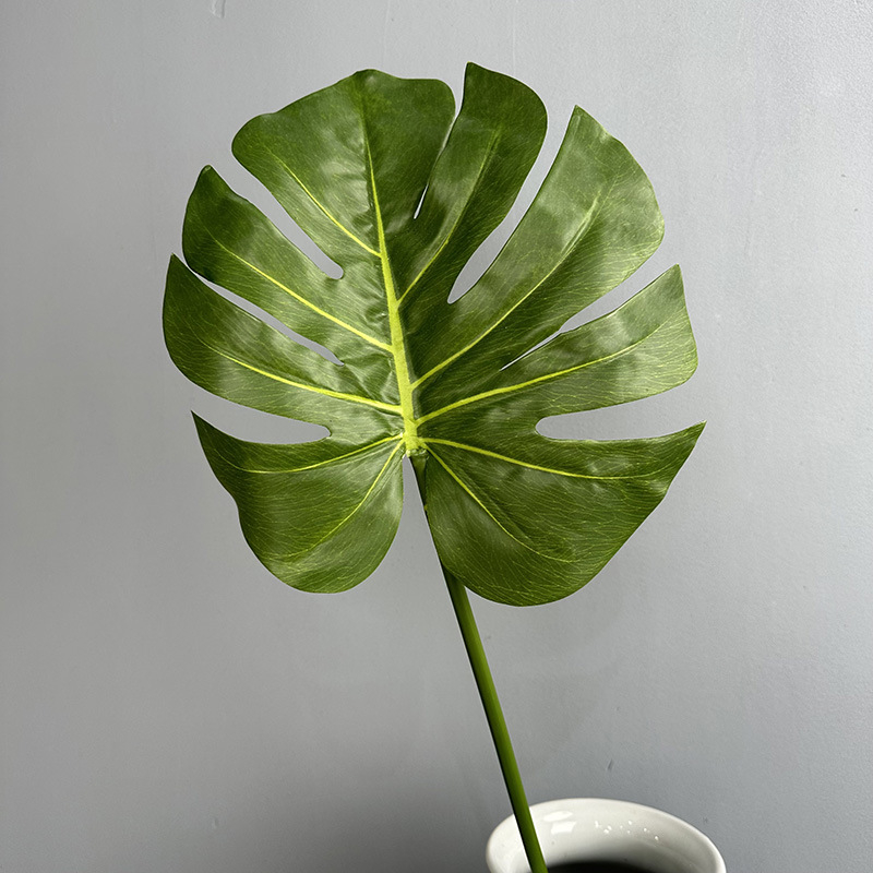 Umjetni list turtle-back – dekorativni rekvizit za fotografiranje i uređenje (Brand Other; Materijal 21789688530; Obrada 20802565497; Vrsta Turtle taro leaves; Svrha: vjenčanja, vanjski, rekviziti za fotografiju, kućna dekoracija)