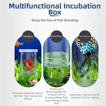 Пластмасов инкубатор за яйца и малки риби — изолационна кутия за развъждане, окачващ се дизайн
