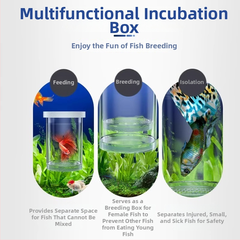 Пластмасов инкубатор за яйца и малки риби — изолационна кутия за развъждане, окачващ се дизайн