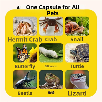 Vaikams skirta daugiafunkcinė ekologinė stebėjimo dėžutė mažiems gyvūnėliams – plastikinė, Kou Duck, 3–6 metų amžiaus