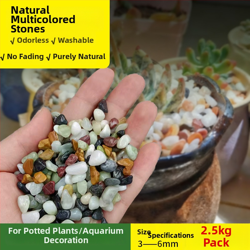 Siweibo Stream Stone – natūralus akmens akvariumo kraštovaizdžiui, substratas akvariumui, kilmė Kinija