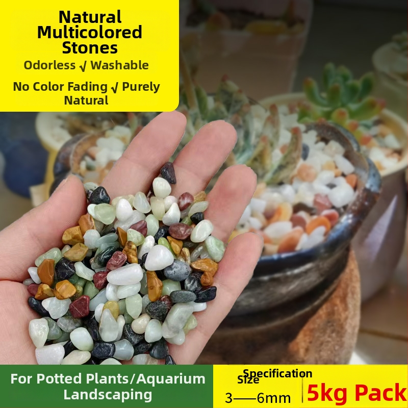 Siweibo Stream Stone – natūralus akmens akvariumo kraštovaizdžiui, substratas akvariumui, kilmė Kinija