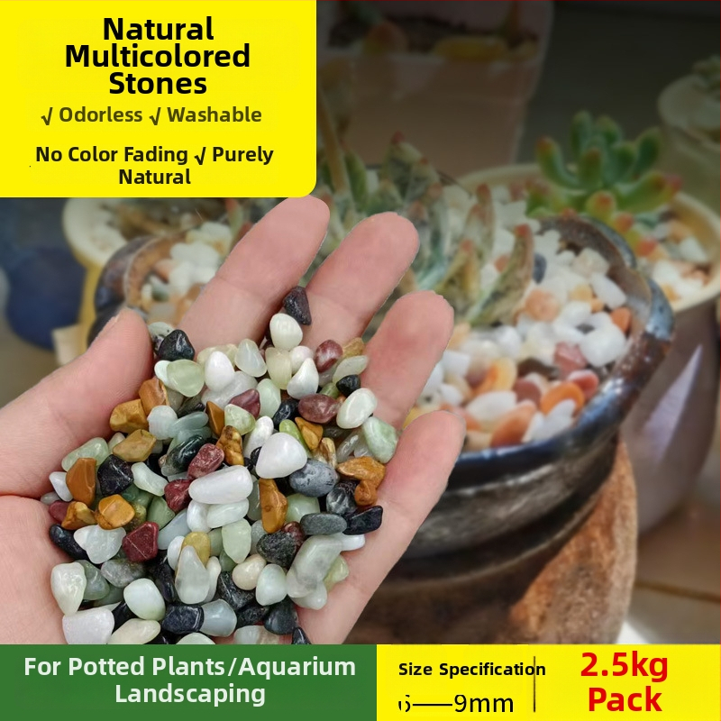 Siweibo Stream Stone – natūralus akmens akvariumo kraštovaizdžiui, substratas akvariumui, kilmė Kinija