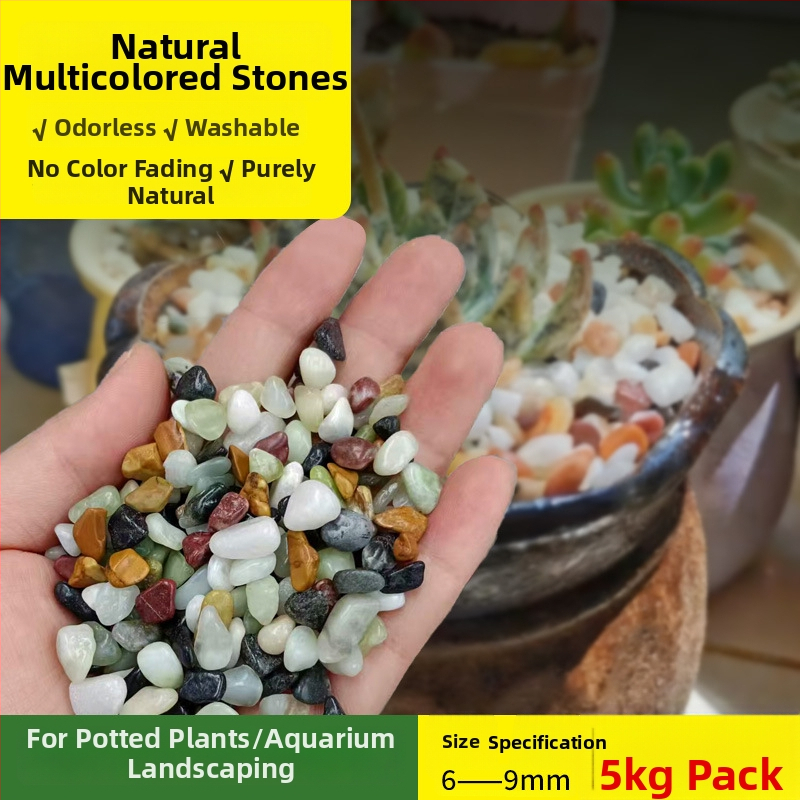 Siweibo Stream Stone – natūralus akmens akvariumo kraštovaizdžiui, substratas akvariumui, kilmė Kinija