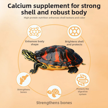 Nai Chong brändi dekoratiivne kilpkonna toit - akvaariumi kilpkonna toit, lemmikloomatoit, hulgimüügiline otse tehases tarnimine