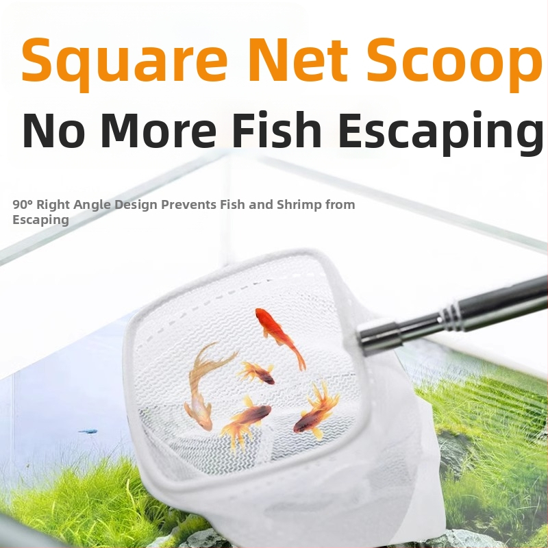 Nerūdijančio plieno sulankstomas žvejybos tinklas su ilga rankena, apvalios ir kvadratinės formos (50 g)