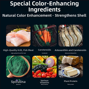 Crazy Water Plants kilpkonnadele mõeldud graanulite toit – 500 g, graanulid, akvaelavate lemmikloomadele