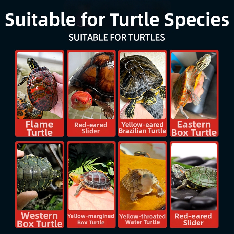 Crazy Water Plants kilpkonnadele mõeldud graanulite toit – 500 g, graanulid, akvaelavate lemmikloomadele