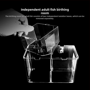 Polipropilėnų inkubavimo ir izoliacijos dėžutė guppy ir tropinių žuvų akvariumui