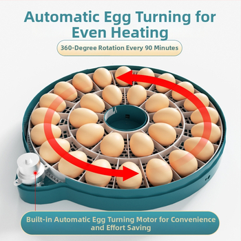 Xinweida väike kodukasutuses inkubaator, täielikult automaatne intelligentne inkubaatkanade, pardi, hanede, tuvi ja papagoide munade jaoks