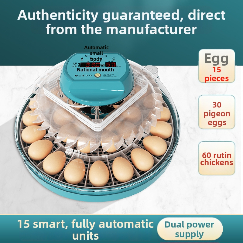 Xinweida väike kodukasutuses inkubaator, täielikult automaatne intelligentne inkubaatkanade, pardi, hanede, tuvi ja papagoide munade jaoks