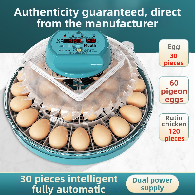 Xinweida väike kodukasutuses inkubaator, täielikult automaatne intelligentne inkubaatkanade, pardi, hanede, tuvi ja papagoide munade jaoks
