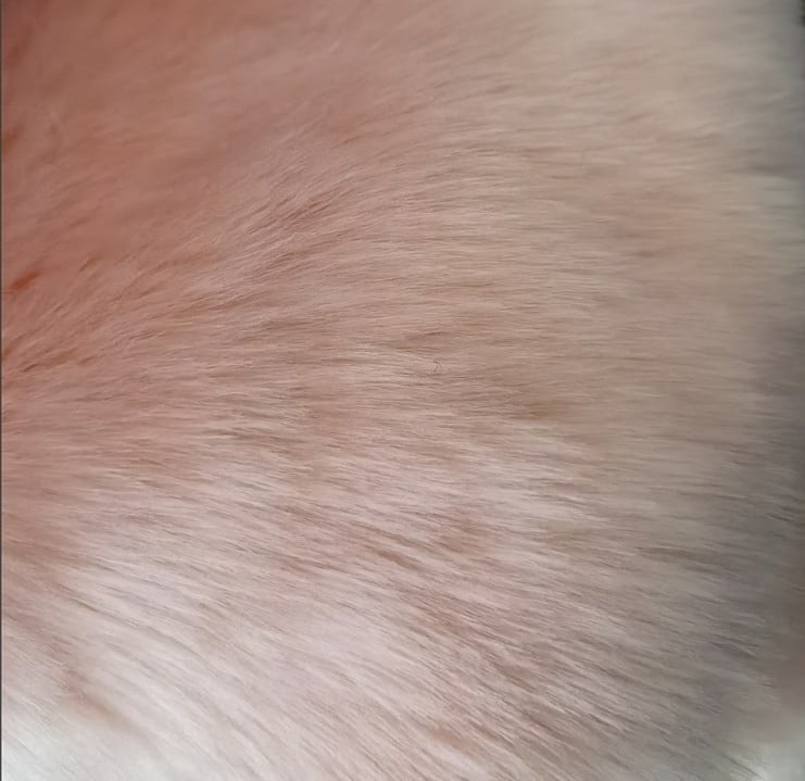 Moterų dirbtinio kailio švarkas – lapės kailio imitacija, įprasta ilgio, ilgos rankovės, pusiau atidarytas apykaklė, gatvės hipster stilius, rudens–žiemos 2023