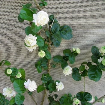 Tiger Head Jasmine iekšējā podā — spēcīgs aromāts, tīra gaisu, mitrumu mīlošs, mūsdienīgs minimālisma stils, produkta kods AL1000906146