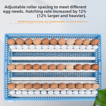Jiayu Munade inkubaator kanade jaoks – 360° iseseisev rull, 6 kuu garantii, loomakasvatus ja vesiviljelus