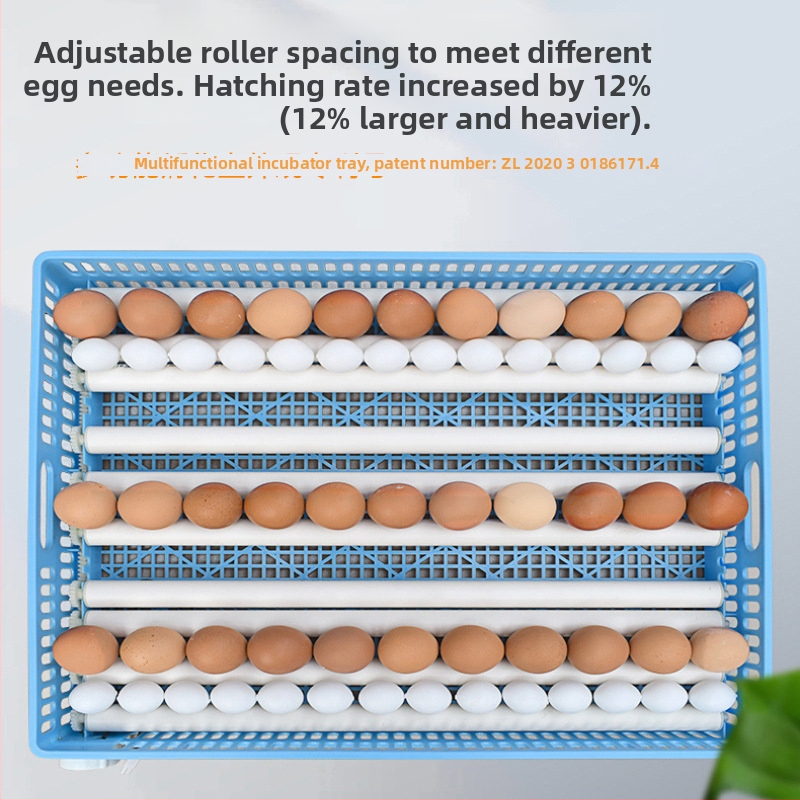 Jiayu Inkubatorius kiaušiniams ir vištoms – 360° savarankiškas ritinys, 6 mėnesių garantija, gyvulininkystė ir akvakultūra