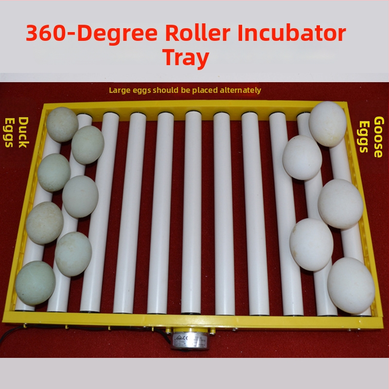 Jiayu Inkubatorius kiaušiniams ir vištoms – 360° savarankiškas ritinys, 6 mėnesių garantija, gyvulininkystė ir akvakultūra